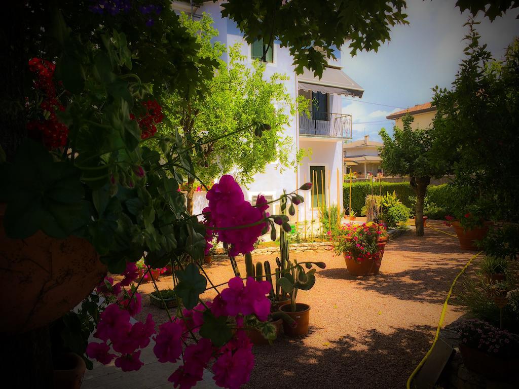 Bed & Breakfast Don Carlos San Martino di Lupari Exteriör bild